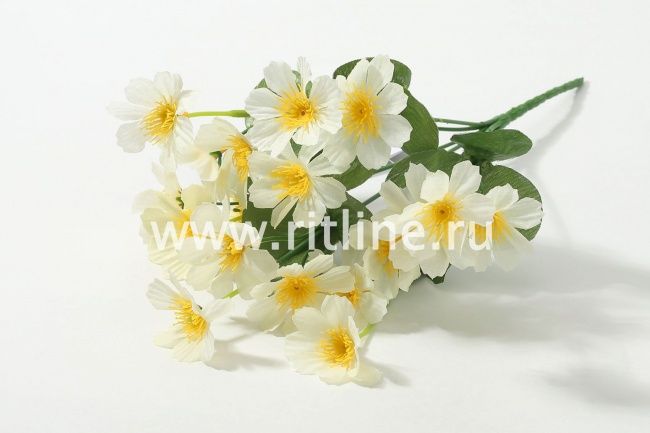 Букет космеи "Fittone", 6г, выс.31, цв.микс