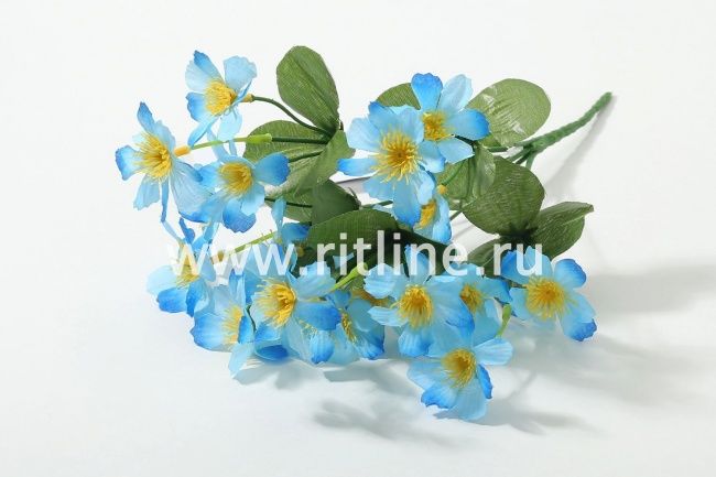 Букет космеи "Fittone", 6г, выс.31, цв.микс