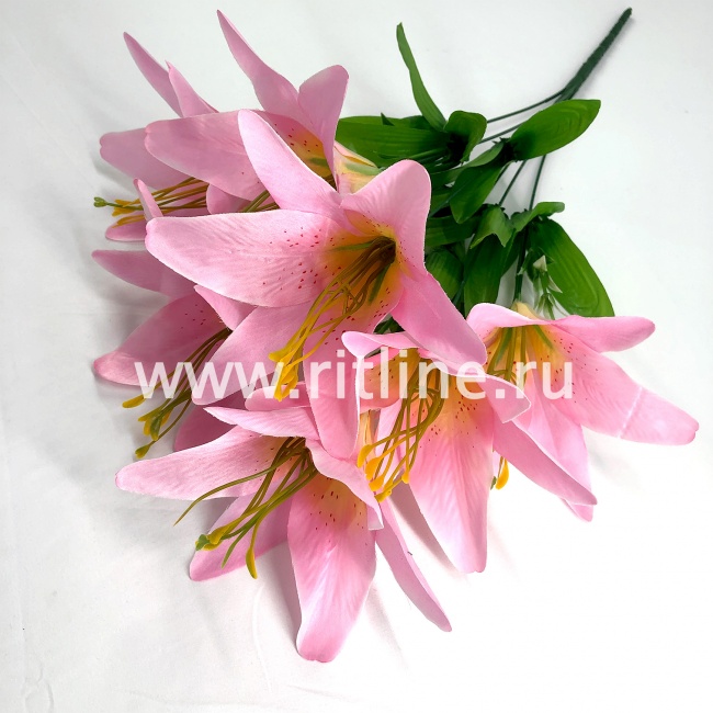 Букет лилий "FITTONE", 7г., выс. 60см, цв.микс