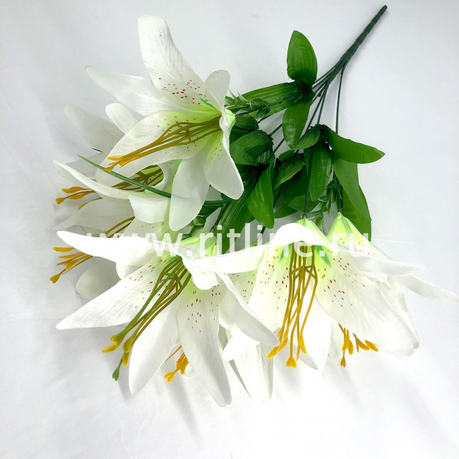 Букет лилий "FITTONE", 7г., выс. 60см, цв.микс