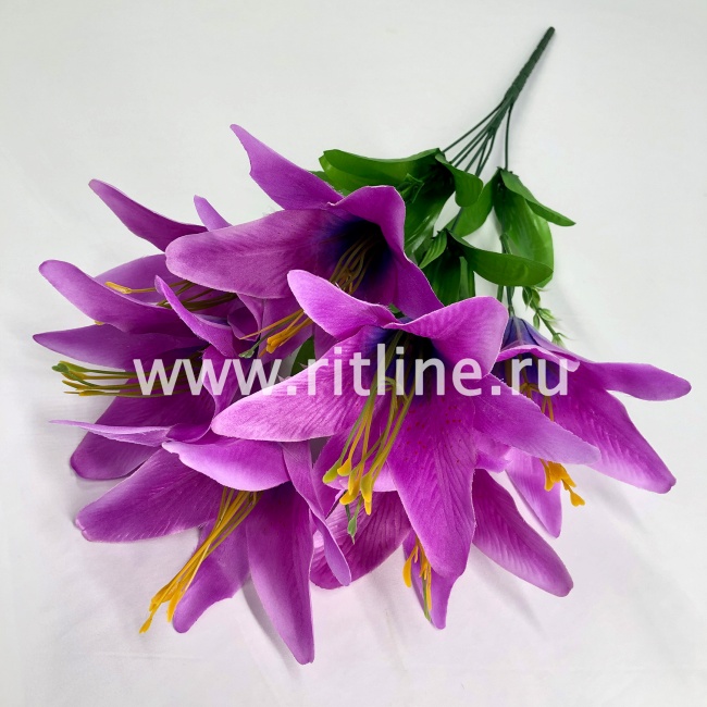 Букет лилий "FITTONE", 7г., выс. 60см, цв.микс
