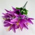 Букет лилий "FITTONE", 7г., выс. 60см, цв.микс