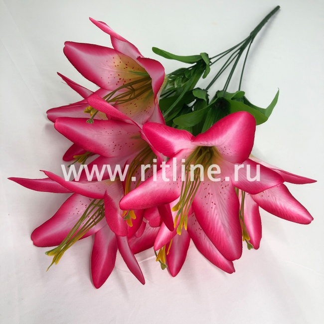 Букет лилий "FITTONE", 7г., выс. 60см, цв.микс