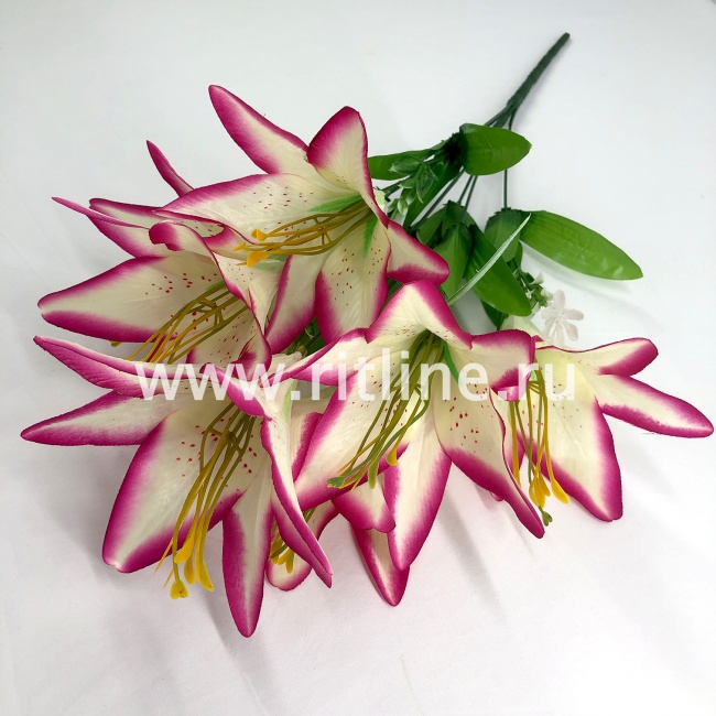 Букет лилий "FITTONE", 7г., выс. 60см, цв.микс