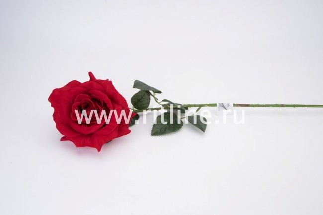 Роза одиночная бархатная "Fittone", выс.70см, цв.красный