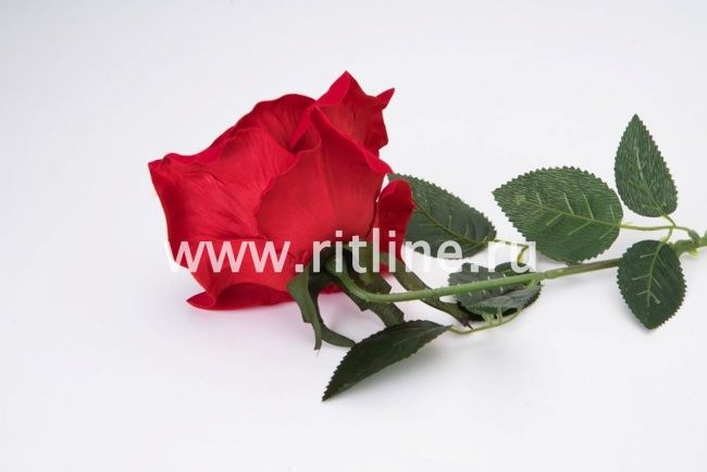 Роза одиночная бархатная "Fittone", выс.70см, цв.красный