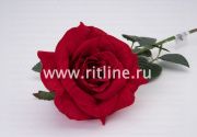 Роза одиночная бархатная, выс. 70 см, цв. красный FITTONE