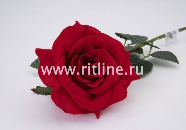 Роза одиночная бархатная "Fittone", выс.70см, цв.красный