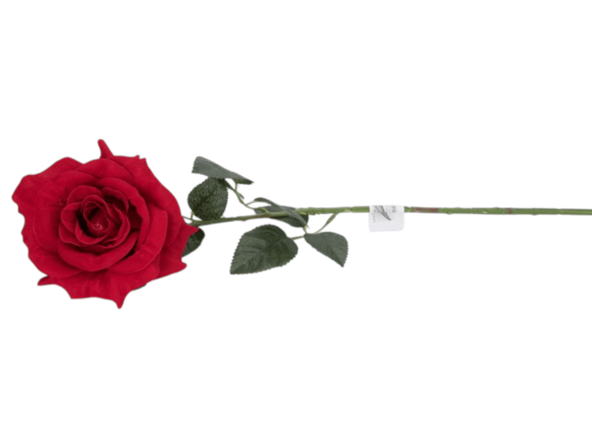 Роза одиночная бархатная, выс. 70 см, цв. красный FITTONE