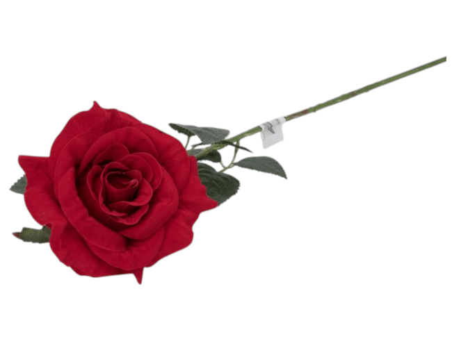 Роза одиночная бархатная, выс. 70 см, цв. красный FITTONE