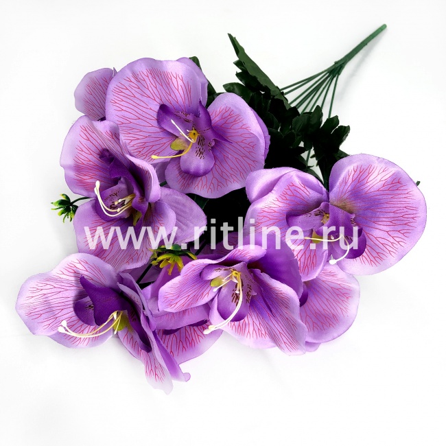 Букет орхидей "FITTONE", 9г., выс. 52см, цв.микс Букет орхидей "FITTONE", 9г., выс. 52см, цв.микс