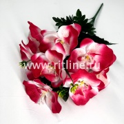 Букет орхидей "FITTONE", 9г., выс. 52см, цв.микс Букет орхидей "FITTONE", 9г., выс. 52см, цв.микс