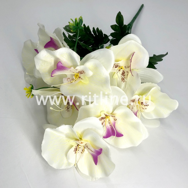 Букет орхидей "FITTONE", 9г., выс. 52см, цв.микс Букет орхидей "FITTONE", 9г., выс. 52см, цв.микс