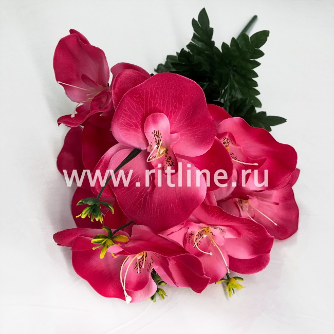Букет орхидей "FITTONE", 9г., выс. 52см, цв.микс Букет орхидей "FITTONE", 9г., выс. 52см, цв.микс
