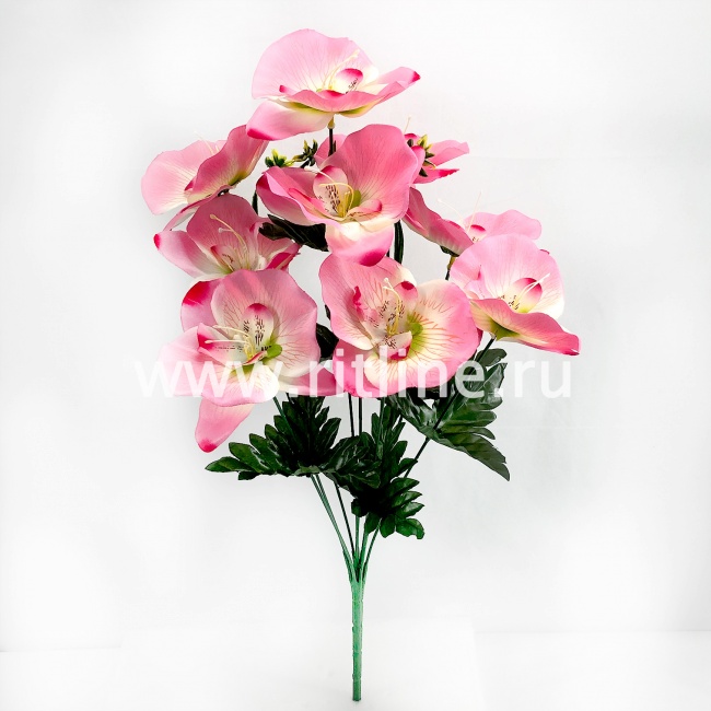 Букет орхидей "FITTONE", 9г., выс. 52см, цв.микс Букет орхидей "FITTONE", 9г., выс. 52см, цв.микс