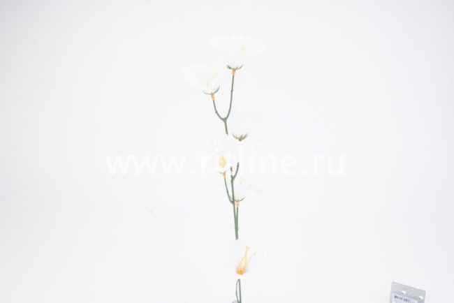 Ветка колокольчиков "Fittone", 6г, выс.52, цв.микс