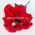 Букет бархатных гвоздик "FITTONE", 9г, выс.48, цв.красный