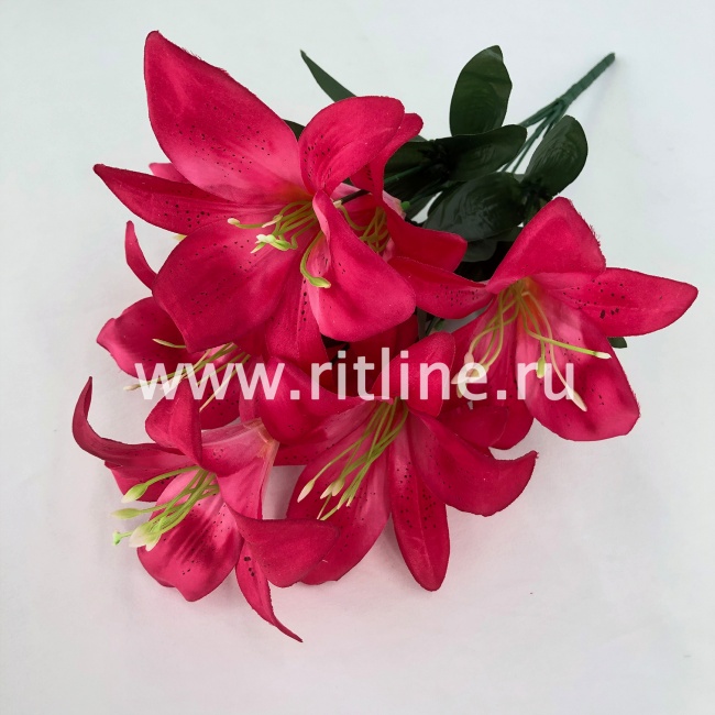 Букет лилий "FITTONE", 8г., выс. 45см, атлас, цв.микс