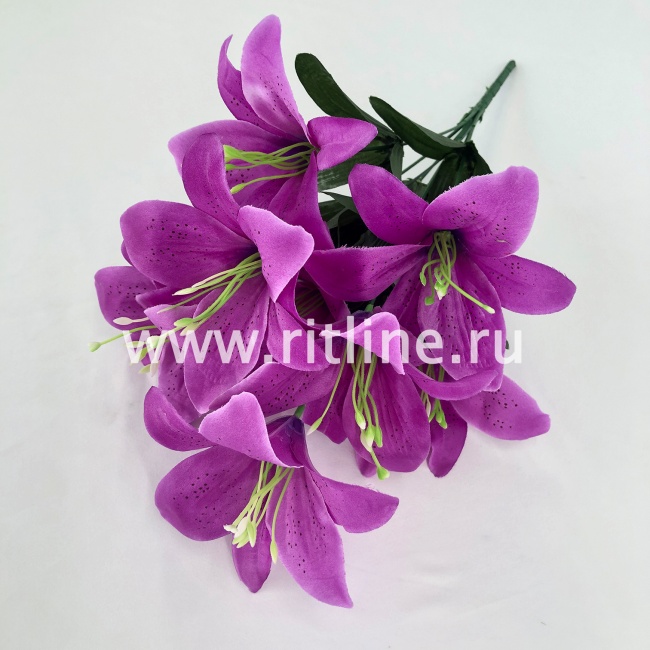Букет лилий "FITTONE", 8г., выс. 45см, атлас, цв.микс