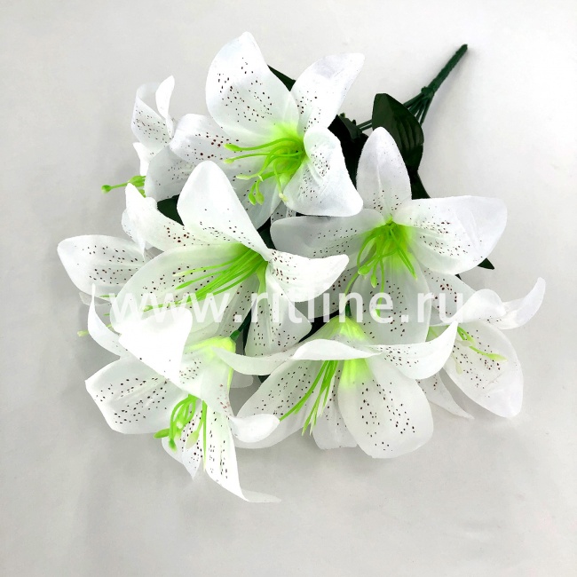 Букет лилий "FITTONE", 8г., выс. 45см, атлас, цв.микс