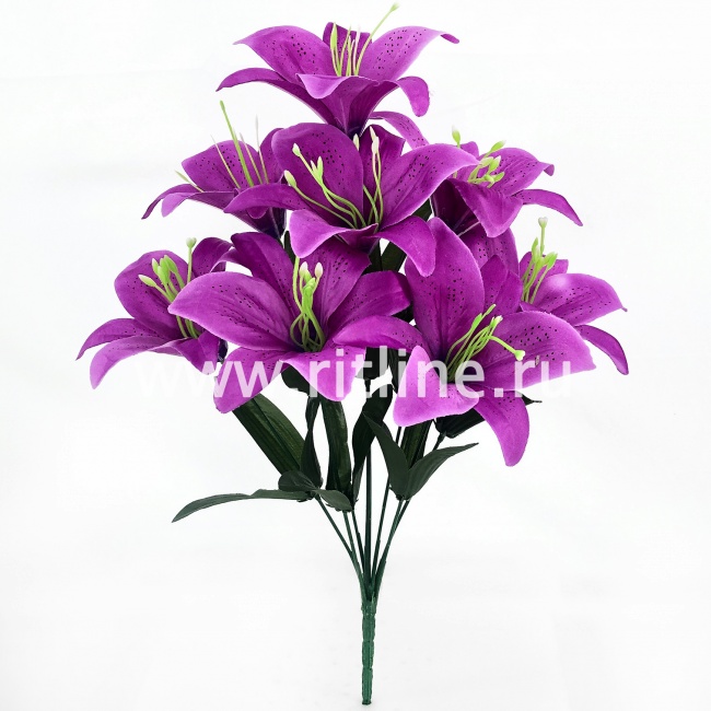 Букет лилий "FITTONE", 8г., выс. 45см, атлас, цв.микс