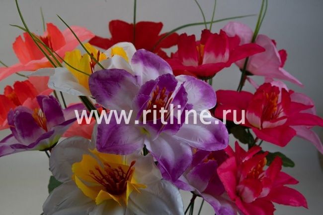 Ветка нарциссов, 3г, выс. 65 см, цв. микс FITTONE