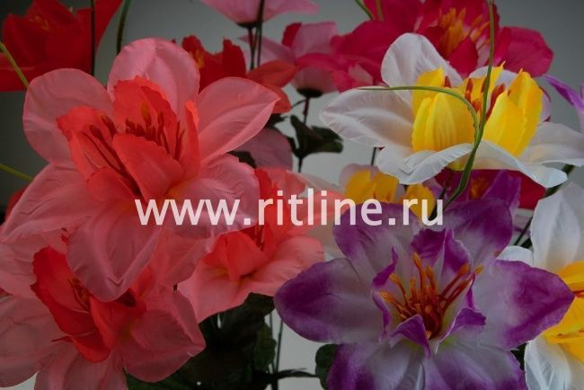 Ветка нарциссов, 3г, выс. 65 см, цв. микс FITTONE