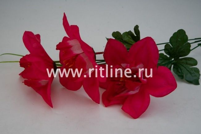 Ветка нарциссов, 3г, выс. 65 см, цв. микс FITTONE