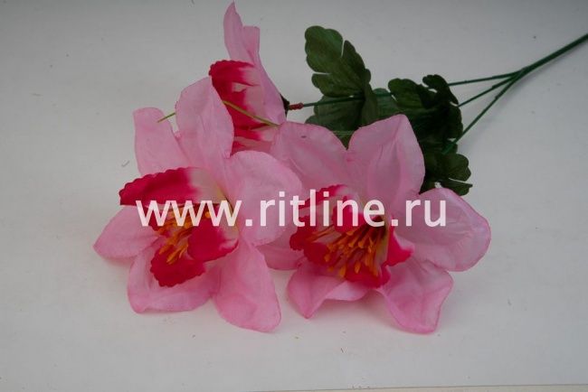 Ветка нарциссов, 3г, выс. 65 см, цв. микс FITTONE