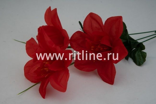 Ветка нарциссов, 3г, выс. 65 см, цв. микс FITTONE