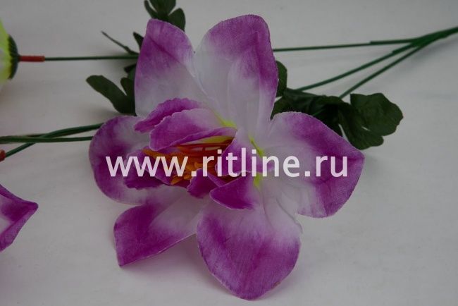 Ветка нарциссов, 3г, выс. 65 см, цв. микс FITTONE