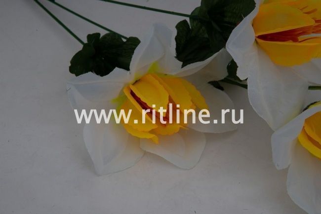 Ветка нарциссов, 3г, выс. 65 см, цв. микс FITTONE