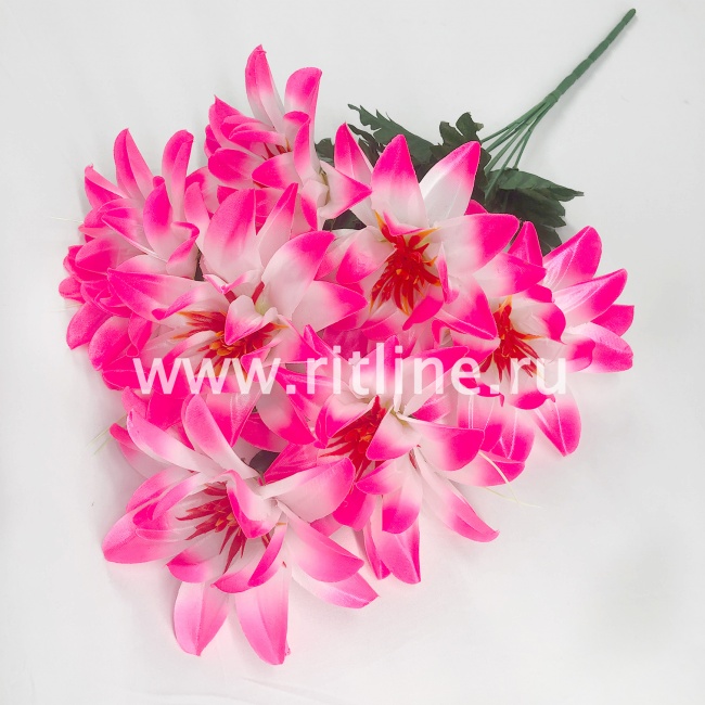 Букет георгинов "FITTONE", 7г, выс. 53см, атлас, цв.микс