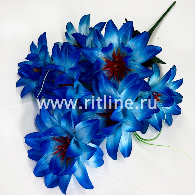 Букет георгинов "FITTONE", 7г, выс. 53см, атлас, цв.микс