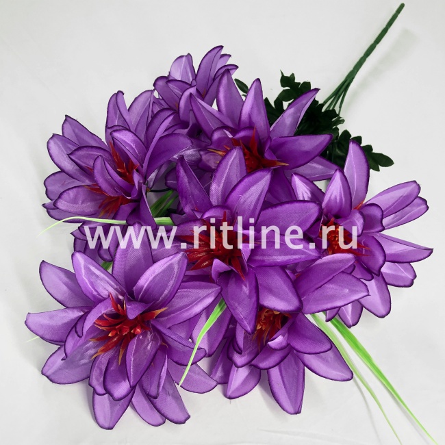 Букет георгинов "FITTONE", 7г, выс. 53см, атлас, цв.микс