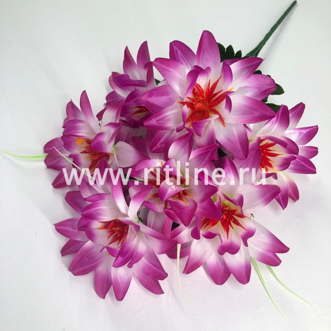 Букет георгинов "FITTONE", 7г, выс. 53см, атлас, цв.микс