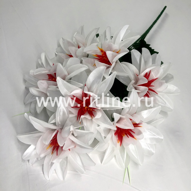 Букет георгинов "FITTONE", 7г, выс. 53см, атлас, цв.микс