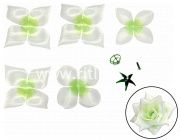 Голова розы(высечка+пластик.запчасти) "Fittone", 5сл, атлас, диам.14см Голова розы(высечка+пластик.запчасти) "Fittone", 5сл, атлас, диам.14см