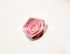Декоративный цветок "Fittone", роза, полиэстер, диам.7,5см