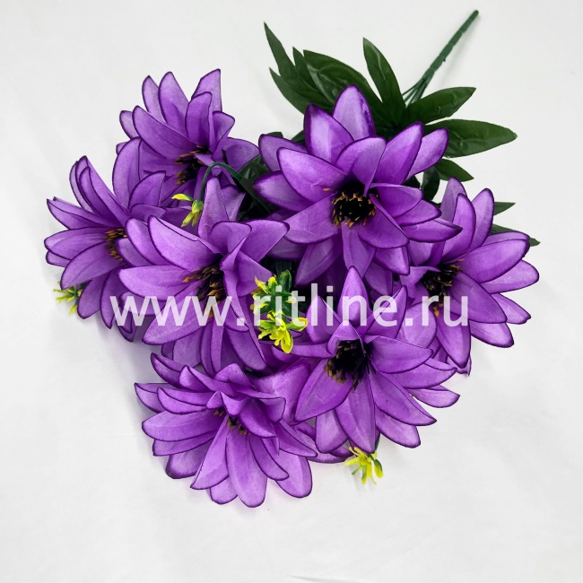 Букет георгинов "FITTONE", 7г., выс. 50см, цв.микс