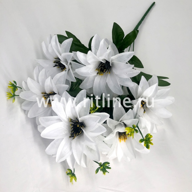 Букет георгинов "FITTONE", 7г., выс. 50см, цв.микс