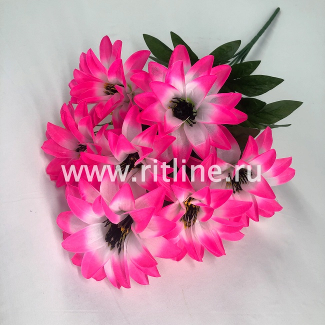 Букет георгинов "FITTONE", 7г., выс. 50см, цв.микс