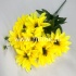 Букет георгинов "FITTONE", 7г., выс. 50см, цв.микс