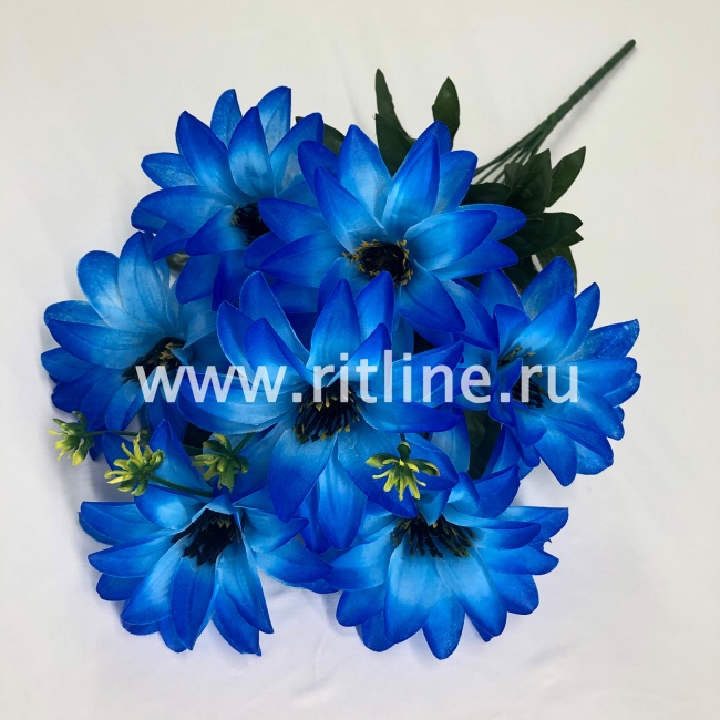 Букет георгинов "FITTONE", 7г., выс. 50см, цв.микс