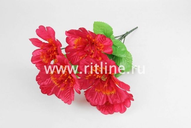 Букет георгинов "Fittone", 6г, выс.32см, атлас, цв.микс