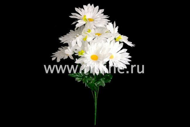Букет ромашек "Fittone", 9г, выс.60см, цв.белый снег, плотный шелк Букет ромашек "Fittone", 9г, выс.60см, цв.белый снег, плотный шелк