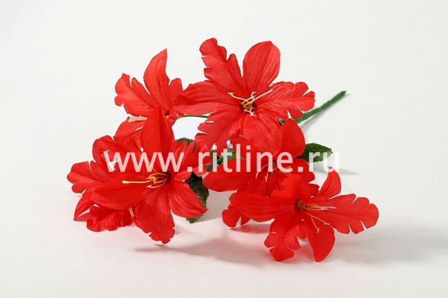 Букет орхидей "Fittone", 6г, выс.31, цв.микс