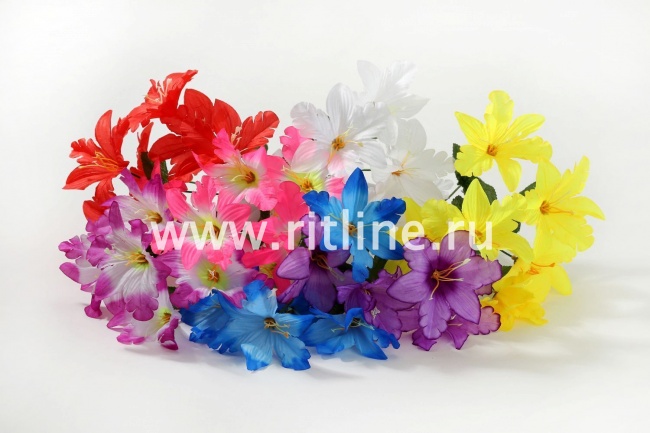 Букет орхидей "Fittone", 6г, выс.31, цв.микс