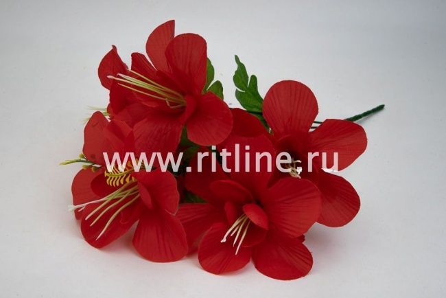 Букет клематисов "Fittone", 6г, выс.31, цв.микс Букет клематисов "Fittone", 6г, выс.31, цв.микс