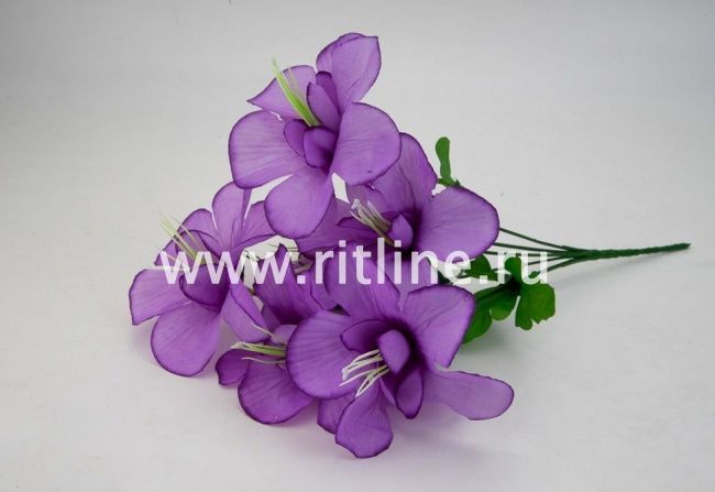 Букет клематисов "Fittone", 6г, выс.31, цв.микс Букет клематисов "Fittone", 6г, выс.31, цв.микс